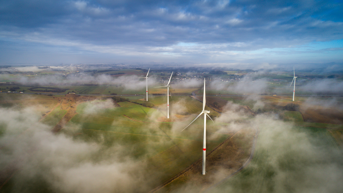 Surging wind power to curb prices as Europe braces for cold snap ...