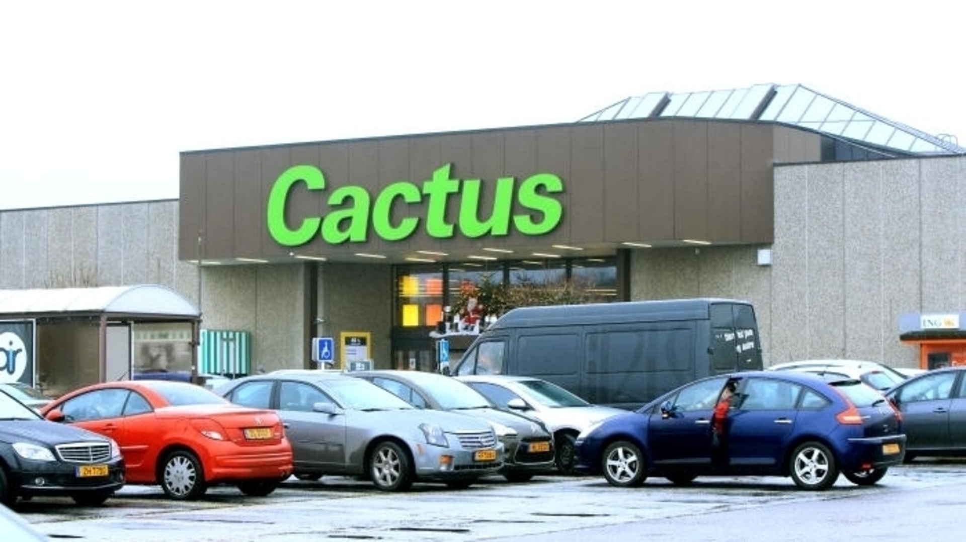 Busy year ahead for Cactus | Luxembourg Times