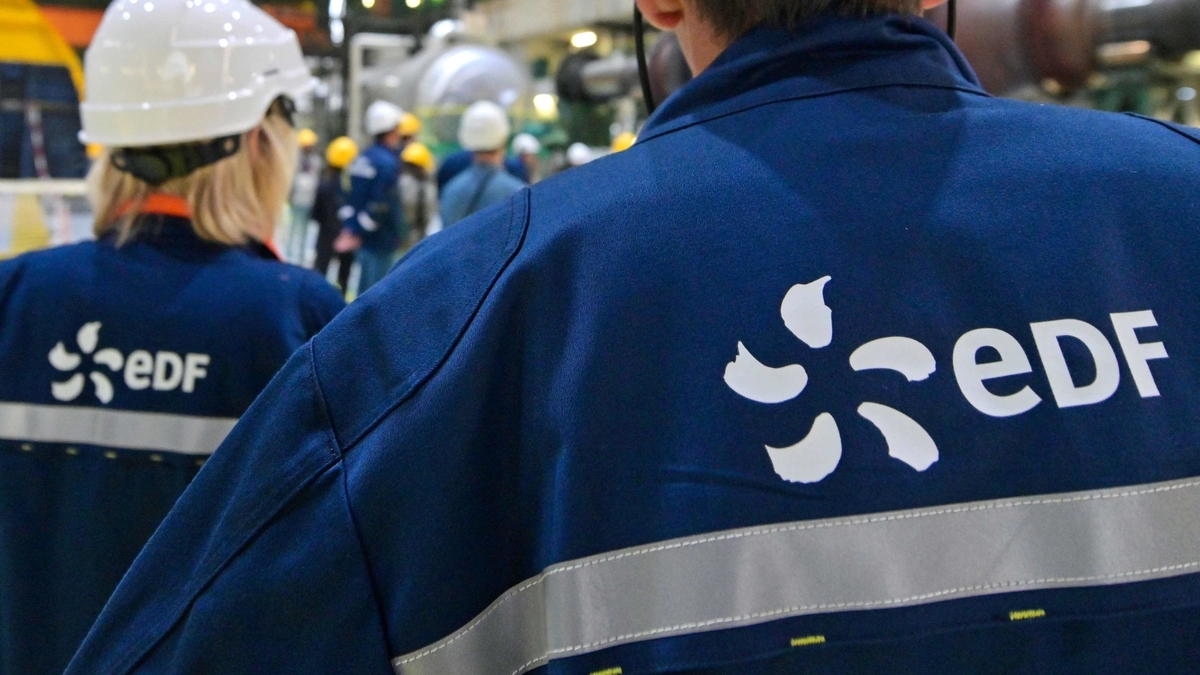 France’s €9.7 bn plan to buy EDF gets court approval | Luxembourg Times