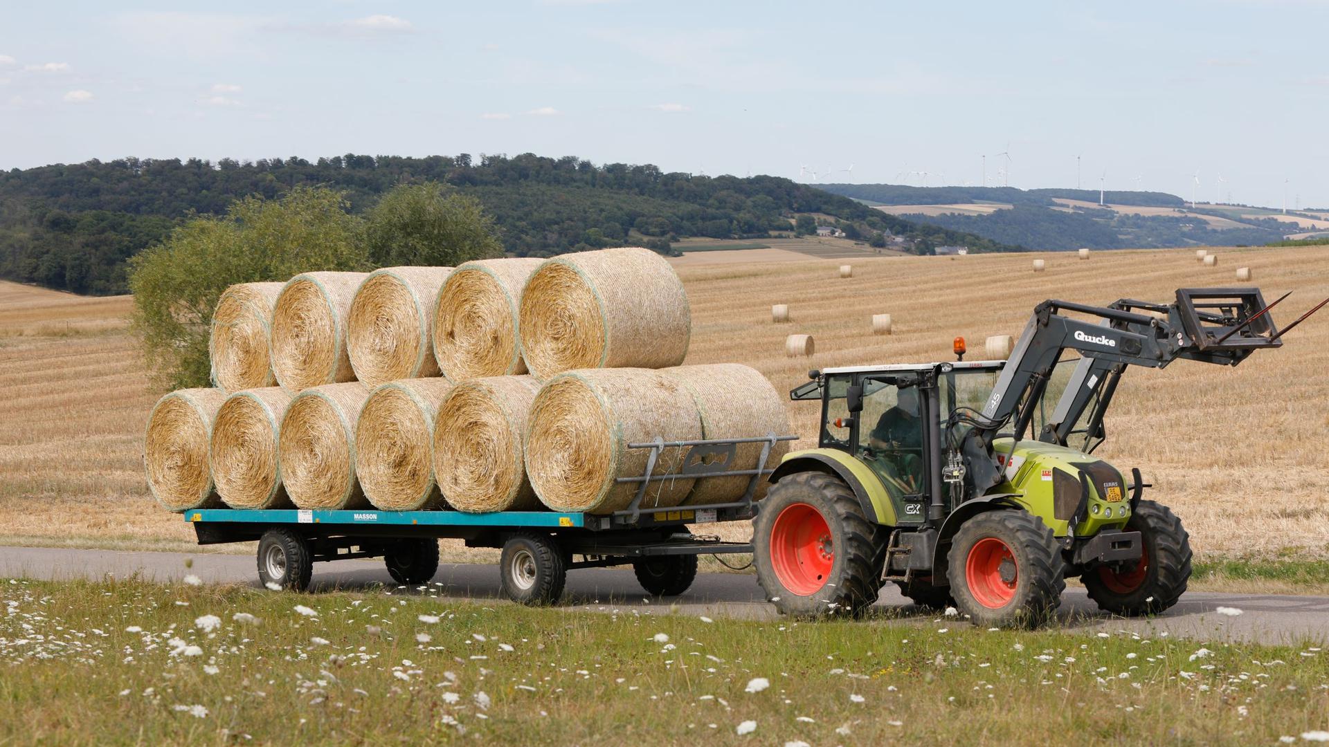 Hay being collected on a Luxembourg farm