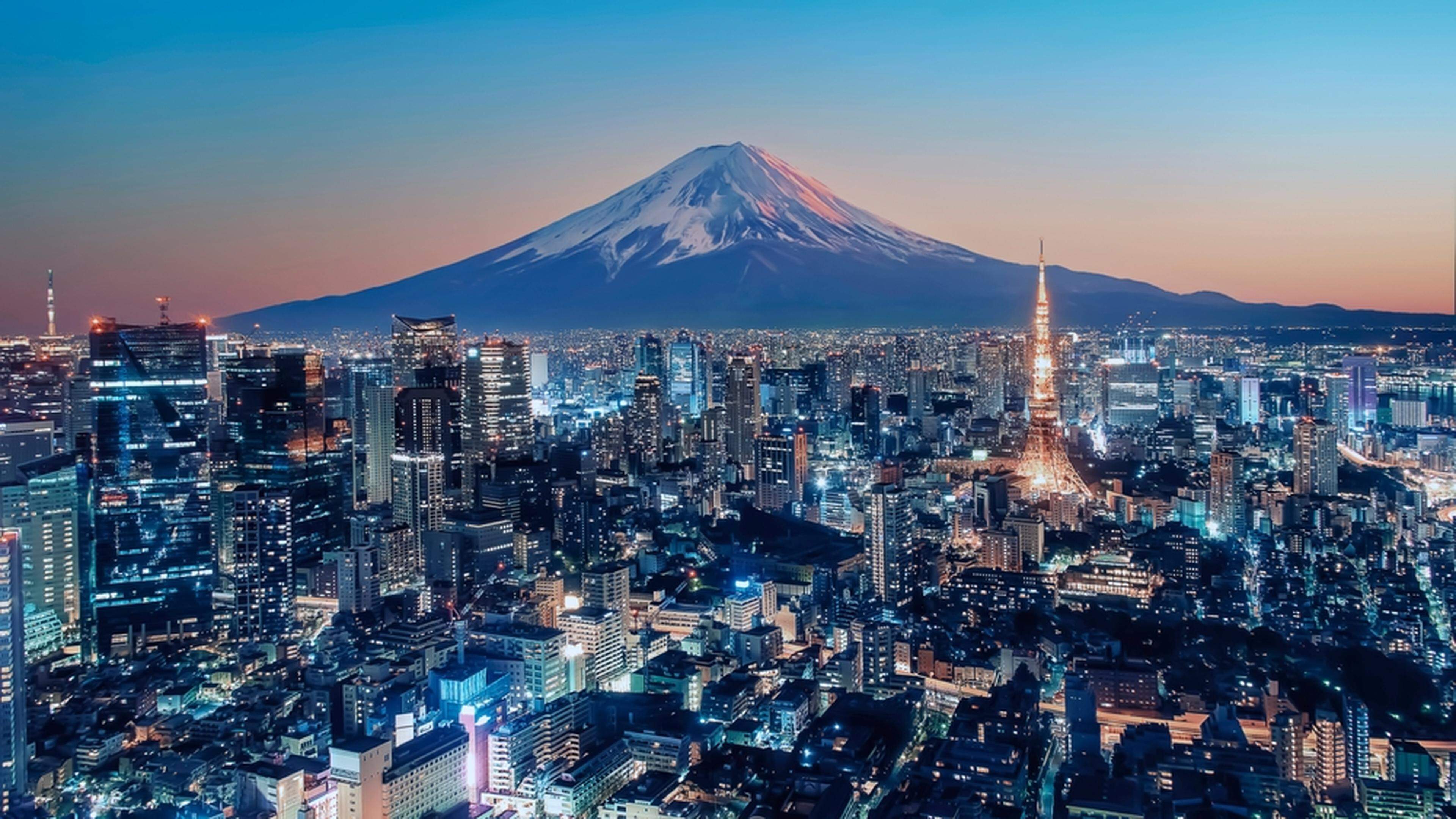 Tokyo City viewed from high up at sunset