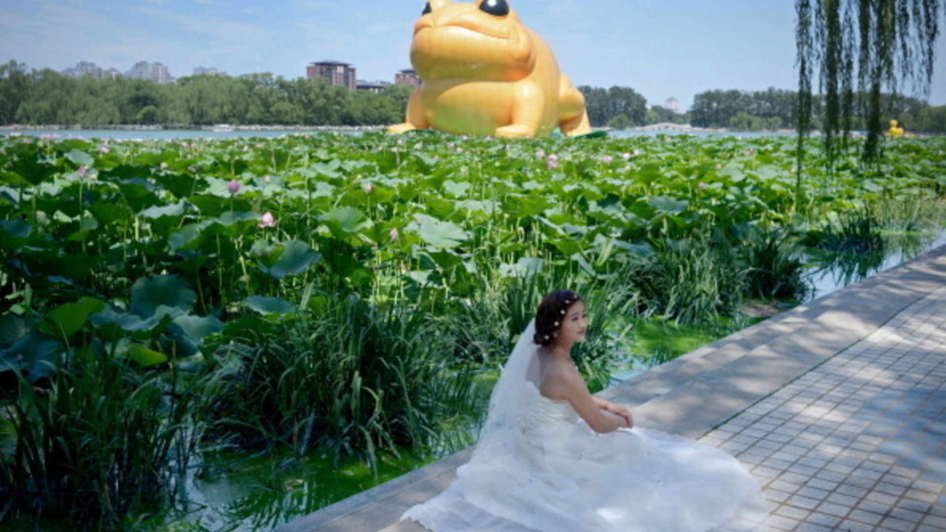 Ex-president look-a-like? China censors delete giant inflatable toad ...