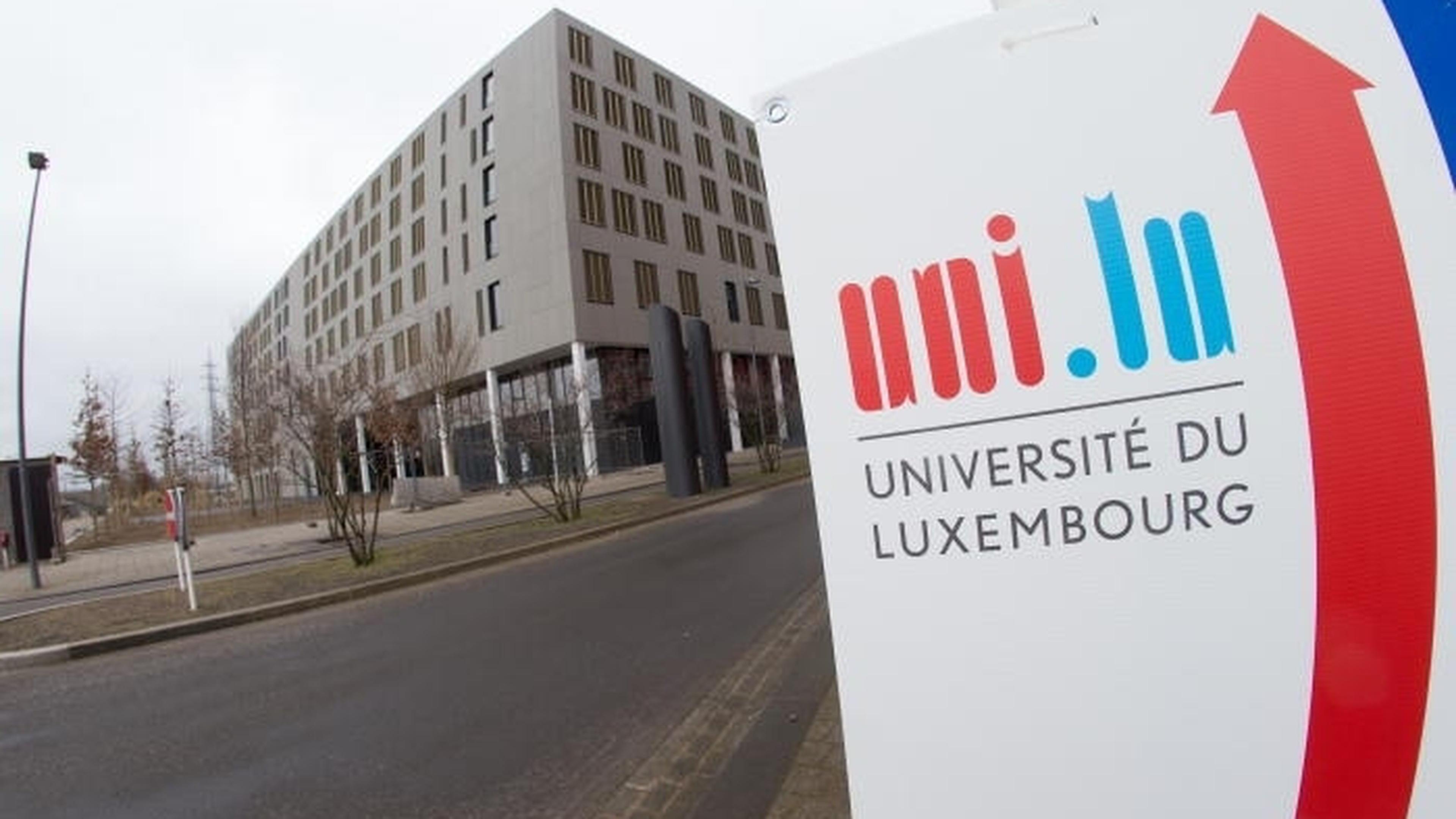 35 bachelor's degrees and 62 master's degrees at the University of Luxembourg.