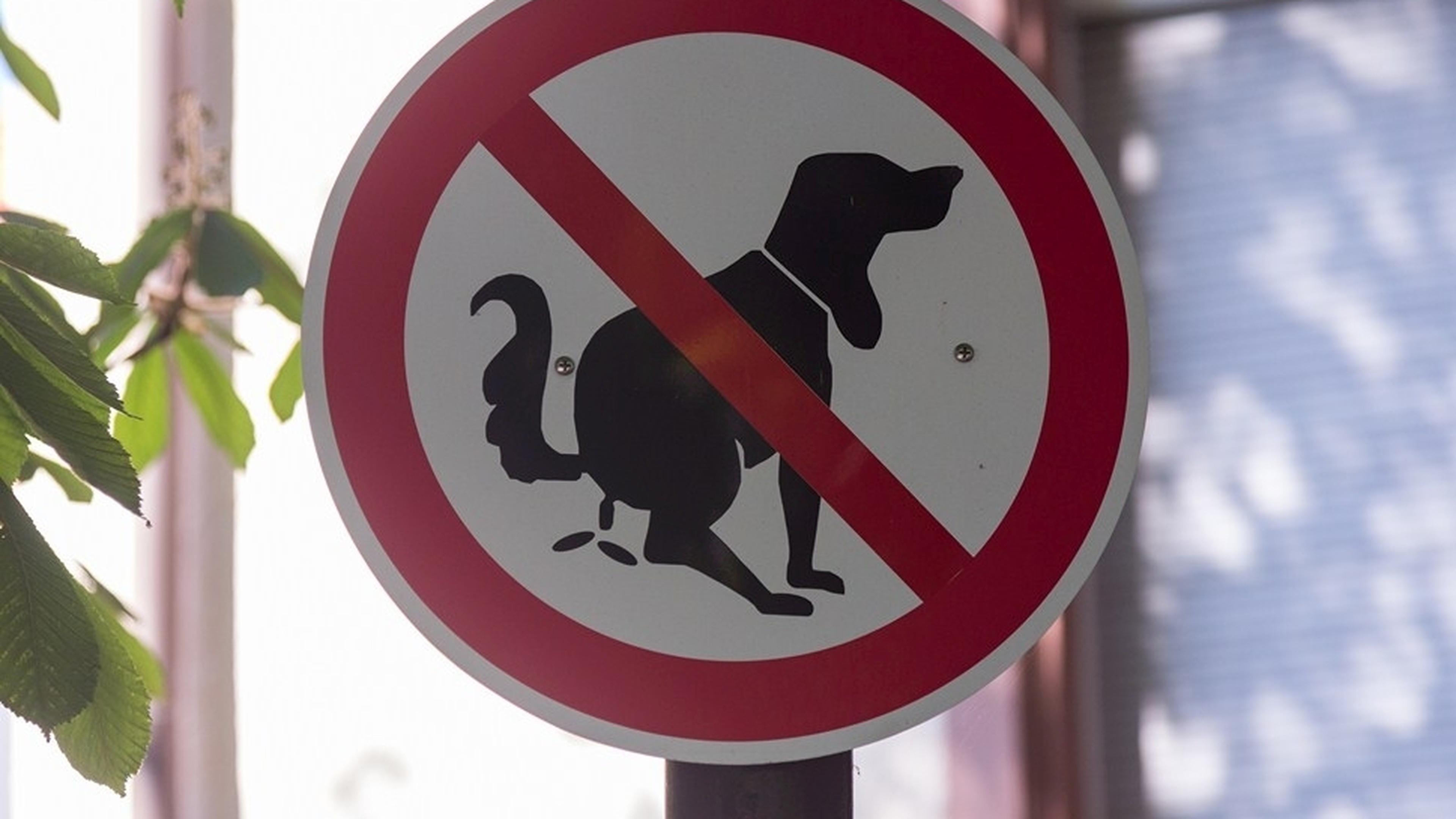 Spanish city to use DNA in fight against dog poo | Luxembourg Times