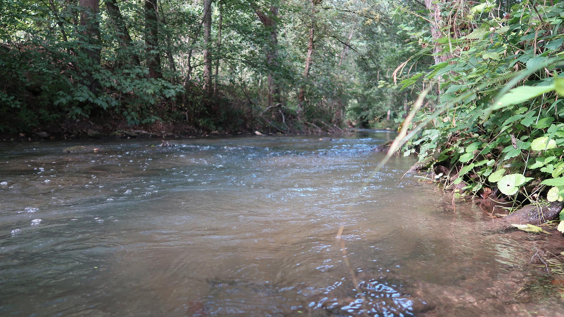 The Syre river east of Luxembourg City 