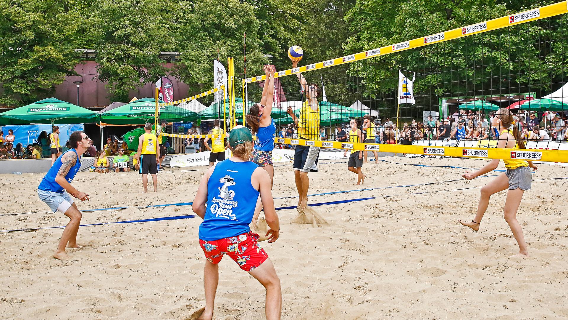 It definitely looks like it's going to be beach volleyball weather this weekend Photo: Lucien Wolff