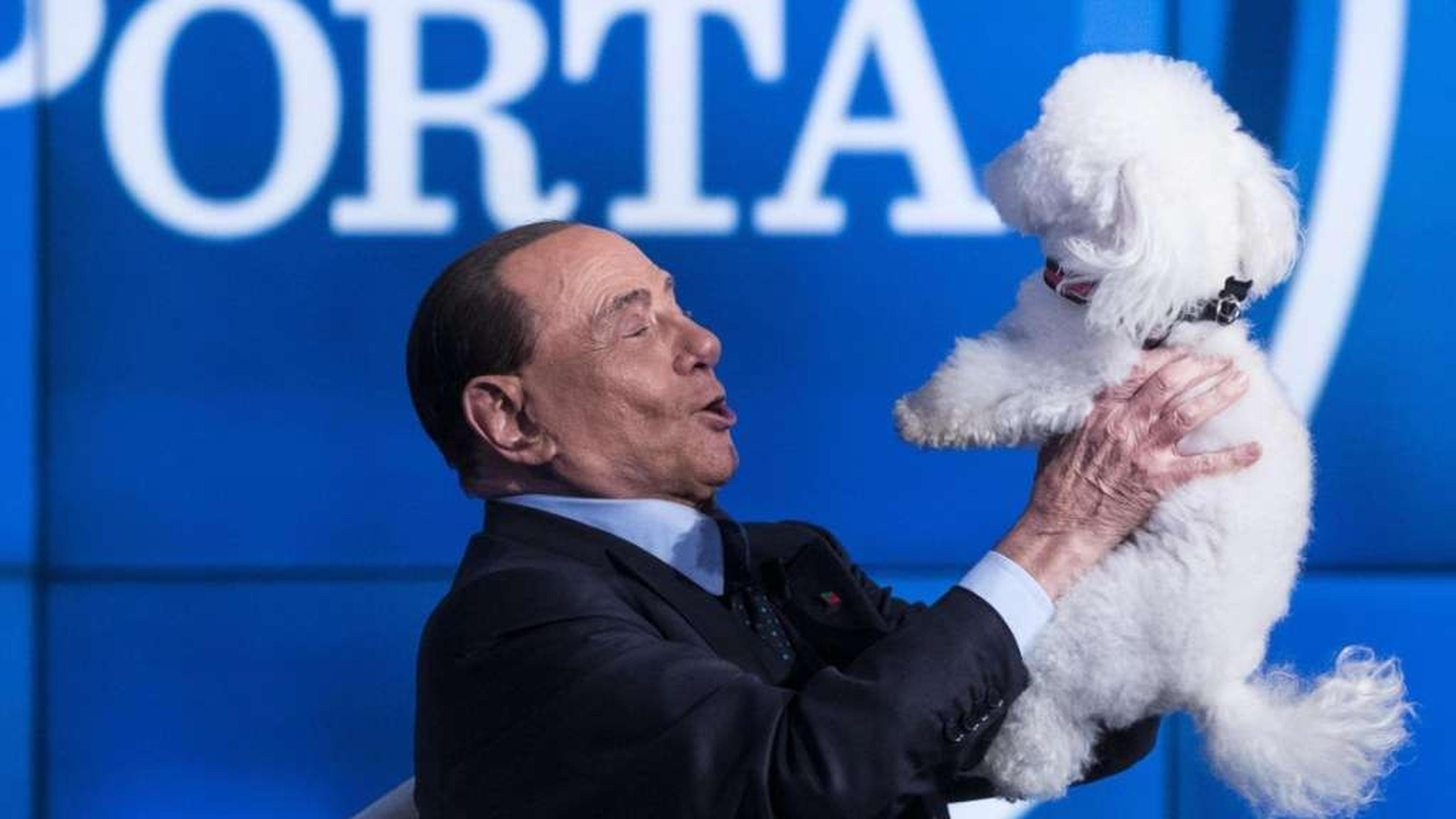 Berlusconi and his poodle promise new deal for Italian pets | Luxembourg  Times