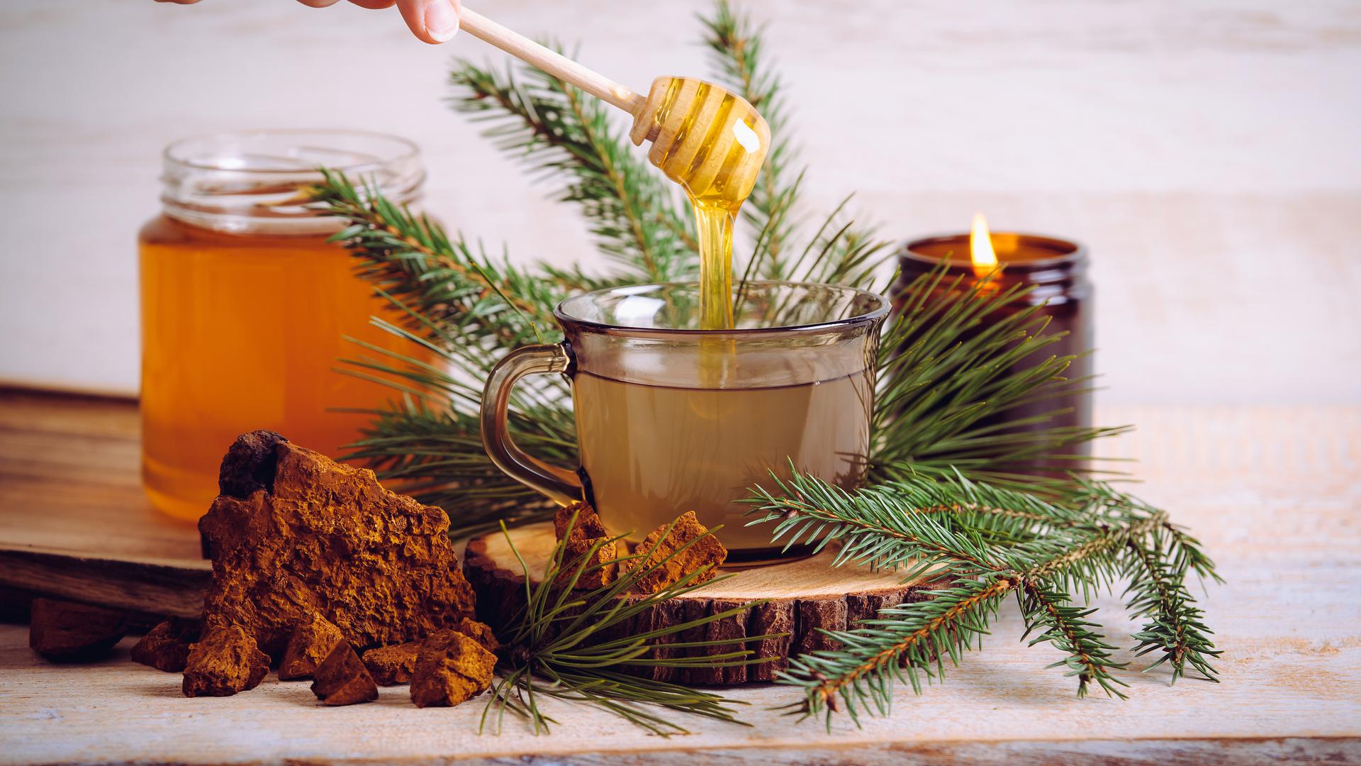 Fir, spruce and pine are edible trees and their needles make a warming tea